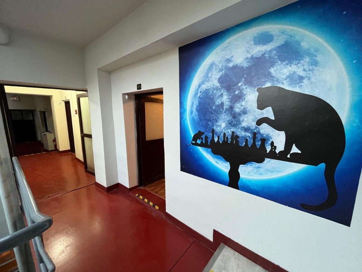 The Sleepy Mouse Hostel กุสโก ภายนอก รูปภาพ